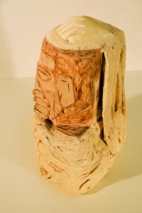 DSC_6948 (2) - copie